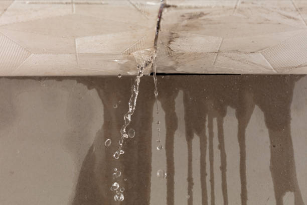 Professional Structural Drying technician working in Franklinville, NC